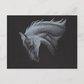 Postal Colección de caballos fantasma