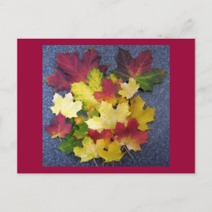 Postal Colección de caídas