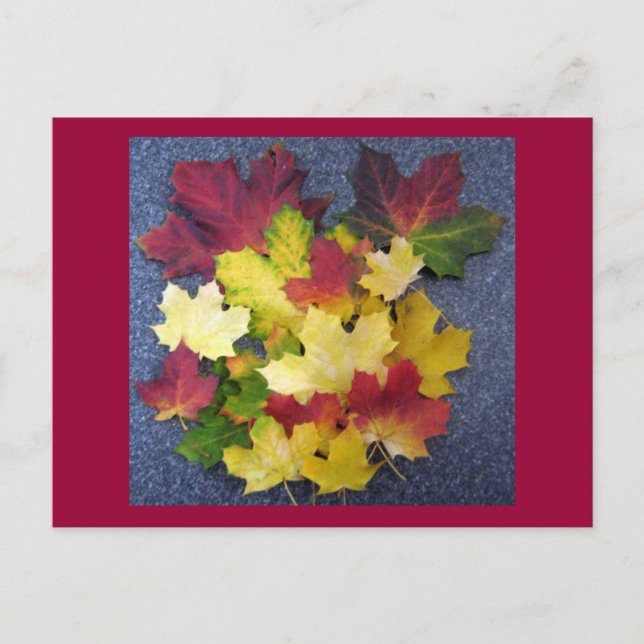 Postal Colección de caídas (Anverso)