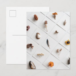 Postal Colección de Especímenes Naturales Minimalista