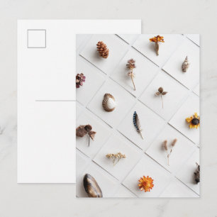 Postal Colección de Especímenes Naturales Minimalista