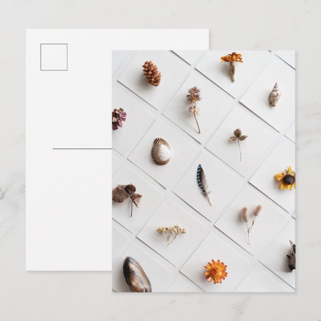 Postal Colección de Especímenes Naturales Minimalista (Anverso / Reverso)