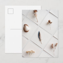 Colección de Especímenes Naturales Minimalista