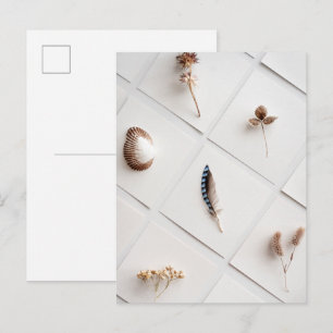 Postal Colección de Especímenes Naturales Minimalista