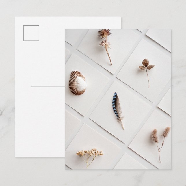 Postal Colección de Especímenes Naturales Minimalista (Anverso / Reverso)