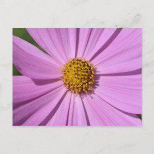 Postal Colección de flores Nº 4