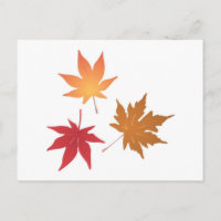Colección de hojas de arce de otoño
