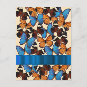 Postal Colección de mariposas