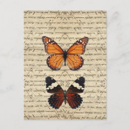 Postal Colección de mariposas vintage