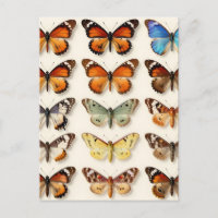 Colección de mariposas vintage en rejilla