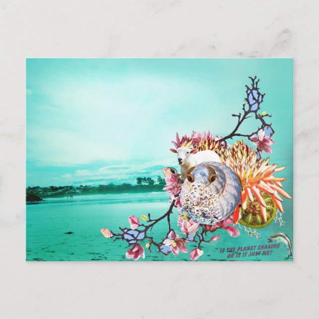 Postal Colección de Nueva Zelanda (Anverso)