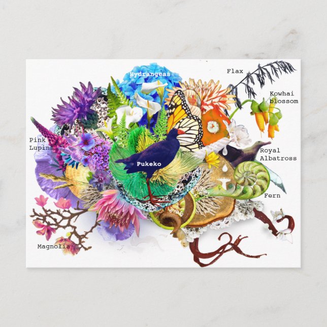 Postal Colección de Nueva Zelanda (Anverso)