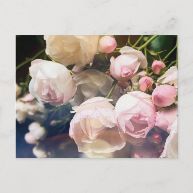 Postal Colección de poesía de Rosas (Anverso)