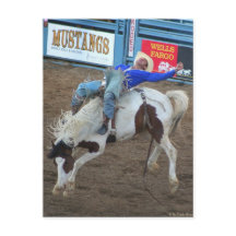 Colección de rodeo - Viaje salvaje