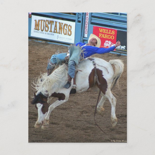 Postal Colección de rodeo - Viaje salvaje (Anverso)