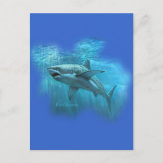 Postal Colección de tiburones por FishTs.com