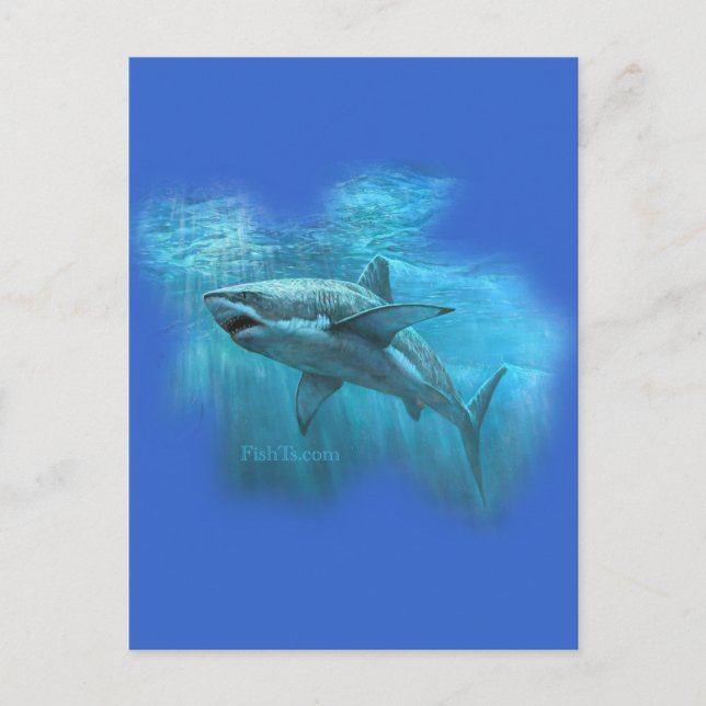Postal Colección de tiburones por FishTs.com (Anverso)