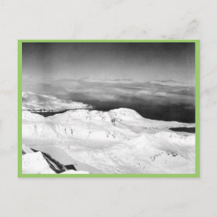 Postal Colección Halter