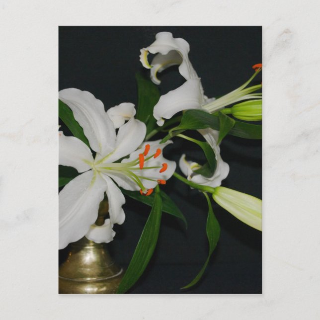 Postal Colección irlandesa de Brass y Flores (Anverso)