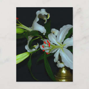 Postal Colección irlandesa de Brass y Flores