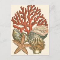Colección Sealife