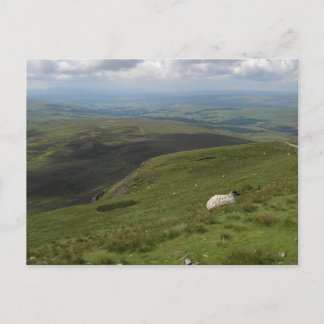 Postal Colección Un día en Yorkshire Dales