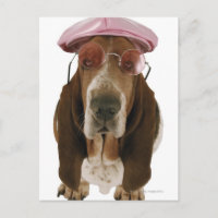 Colgante basset en gafas de sol y gorra