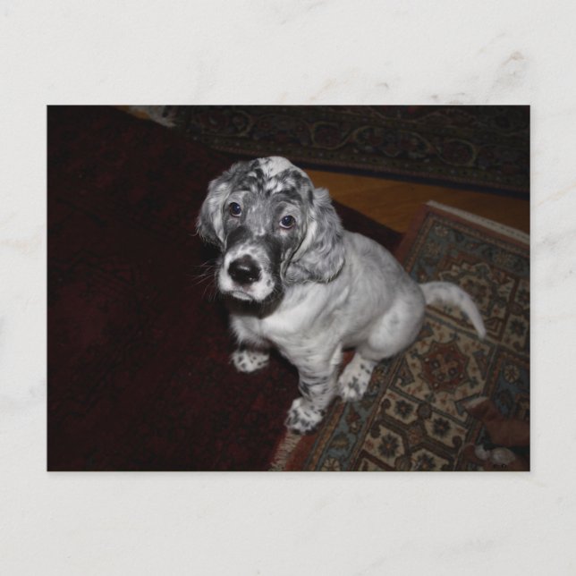 Postal Colgante de inglés (Anverso)