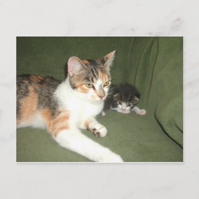 Postal Colgar fuera (Anverso)