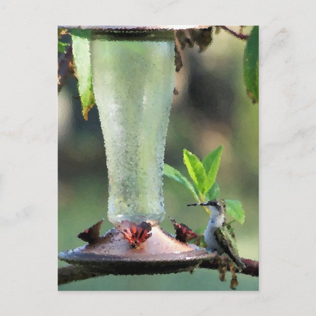 Postal Colibrí (Anverso)