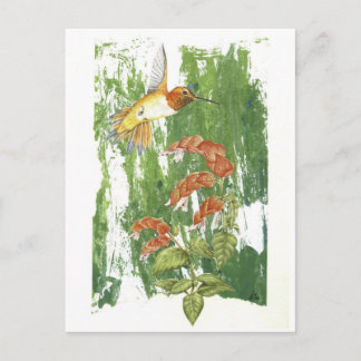 Postal Colibrí