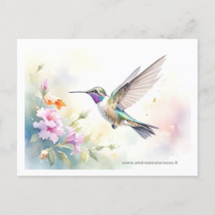 Postal Colibrí