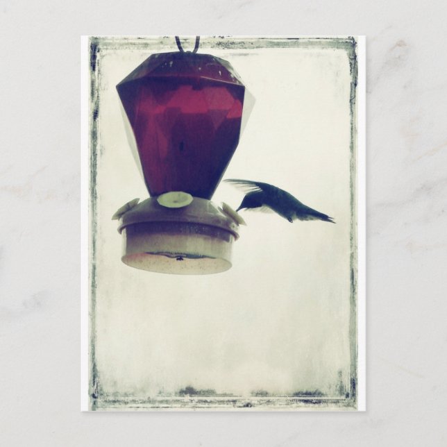 Postal Colibrí 2 (Anverso)