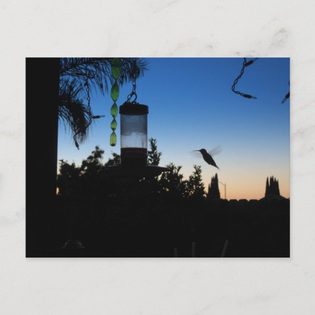 Postal Colibrí al atardecer (Anverso)