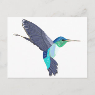Postal Colibrí azul y verde