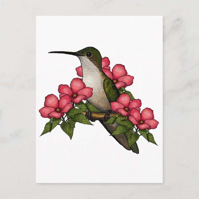 Postal Colibrí Con Flores Rosa: Arte natural (Anverso)