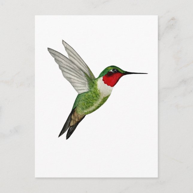 Postal Colibrí de garganta rubí (Anverso)