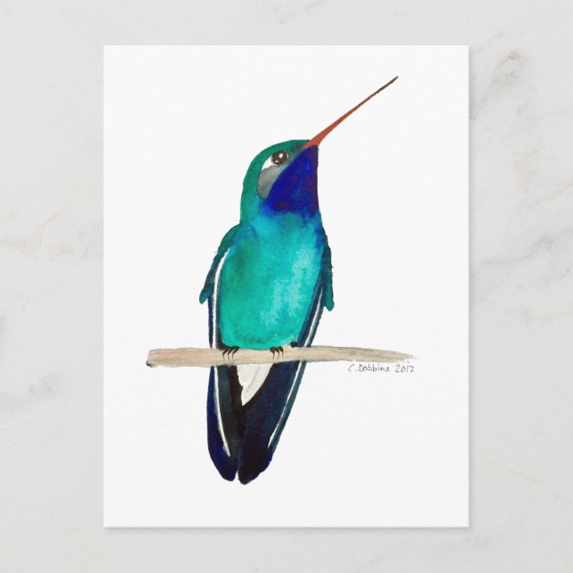 Postal Colibrí de Pico Ancho (Anverso)