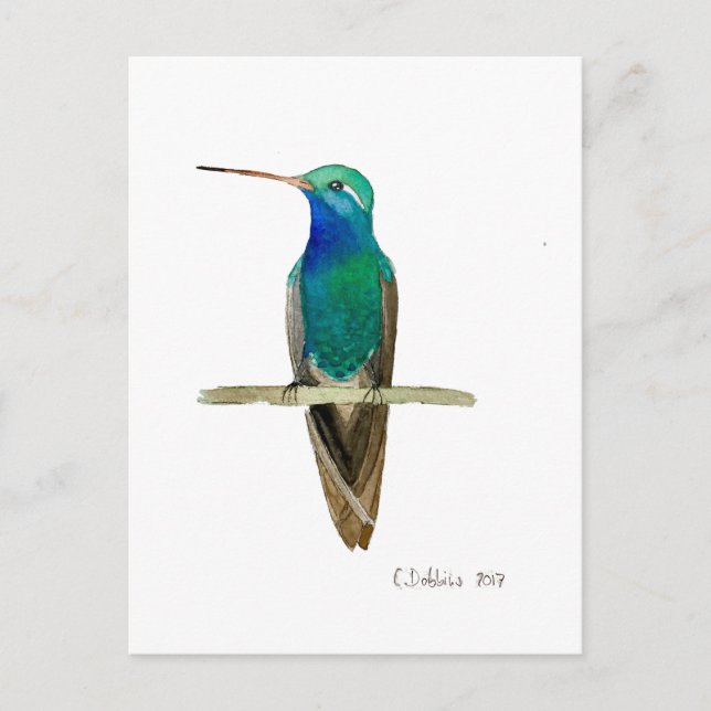 Postal Colibrí de Pico Ancho (Anverso)