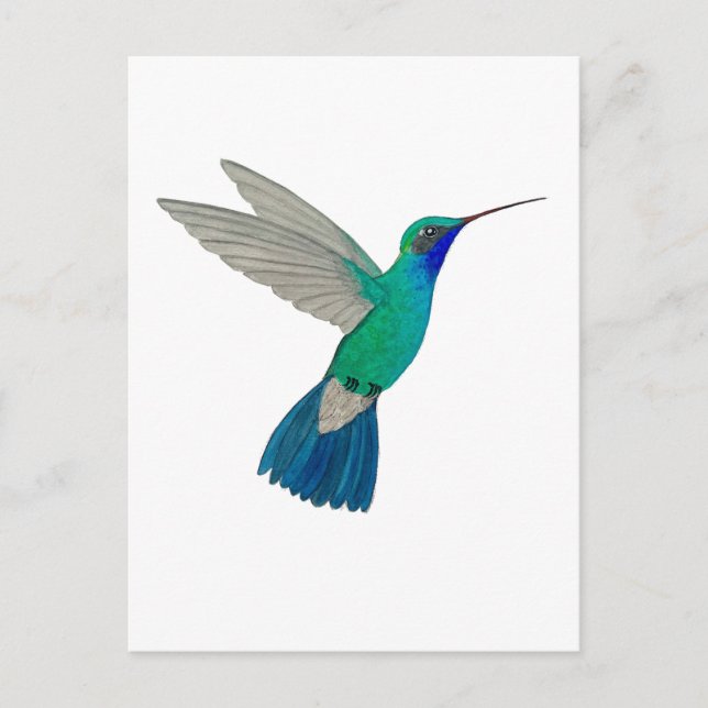 Postal Colibrí de Pico Ancho (Anverso)