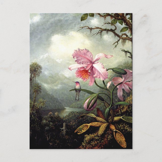 Postal Colibrí Encaramado, arte fino, (Anverso)