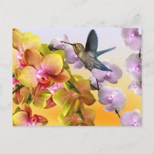 Postal Colibrí, Lilas Púrpuras, Orquídeas Amarillas Rosad