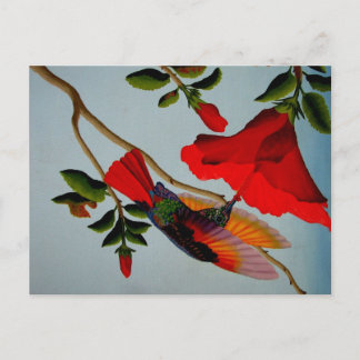 Postal Colibrí magnífico
