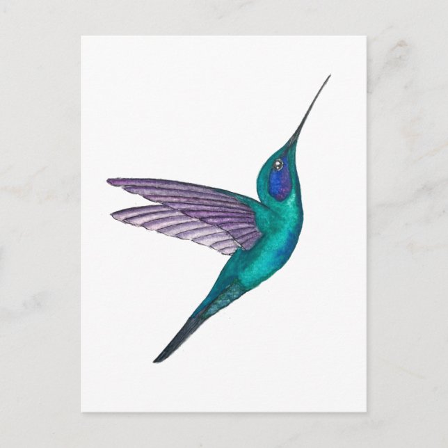 Postal Colibrí Mexicano Violetear (Anverso)