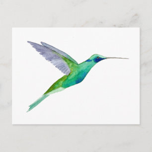 Postal Colibrí Orejo Violeta Brillante