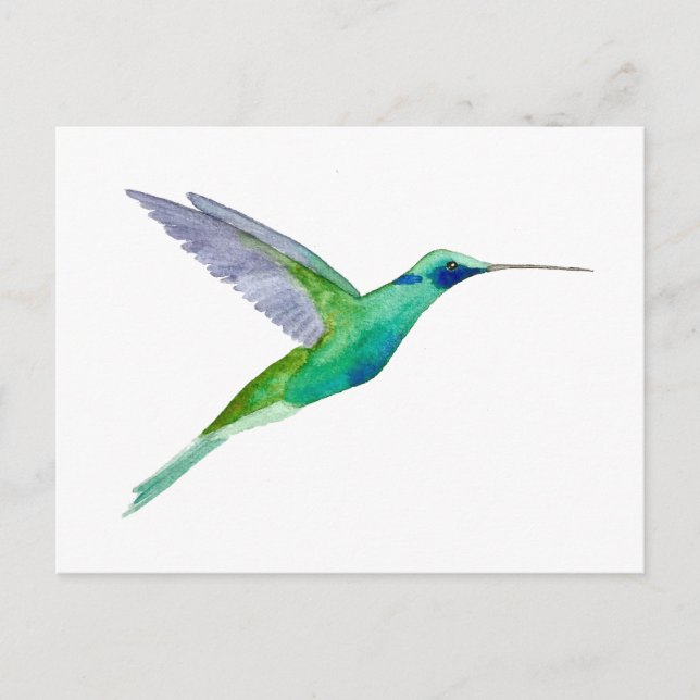 Postal Colibrí Orejo Violeta Brillante (Anverso)