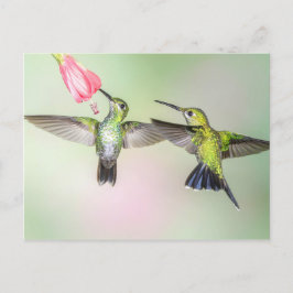 Postal Colibrí Pareja Volando lado a lado
