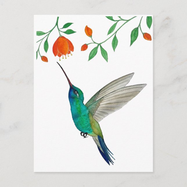 Postal Colibrí Piquiancho (Anverso)