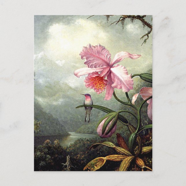 Postal Colibrí Posado, arte fino, (Anverso)