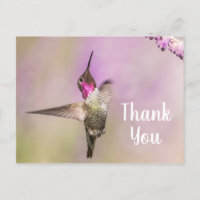 Colibrí Precioso Posando para Decir Gracias